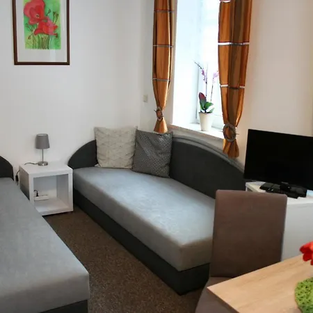 Ferienwohnung Am Muehlbach Klingenthal Buitenkant foto