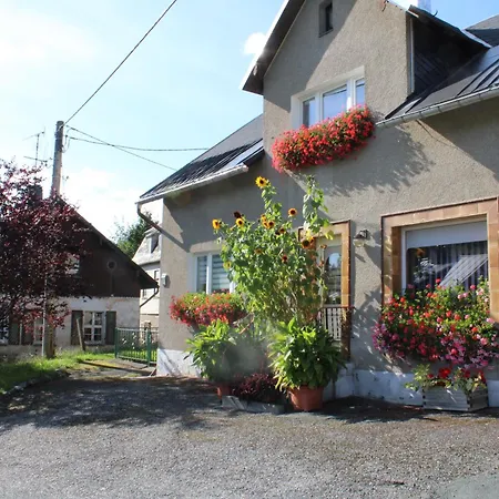 Ferienwohnung Am Muehlbach Klingenthal Buitenkant foto
